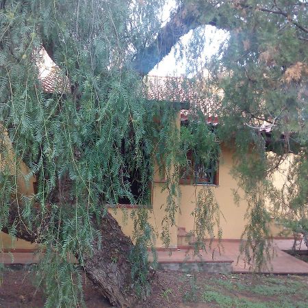 B&B Eleonora Παλέρμο Εξωτερικό φωτογραφία
