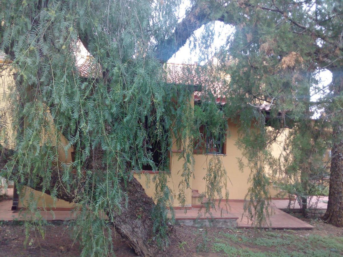 B&B Eleonora Παλέρμο Εξωτερικό φωτογραφία